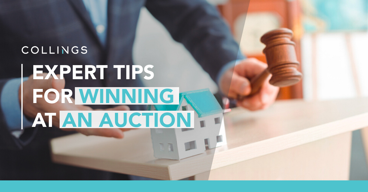 Expert Tips for Winning at An Auction