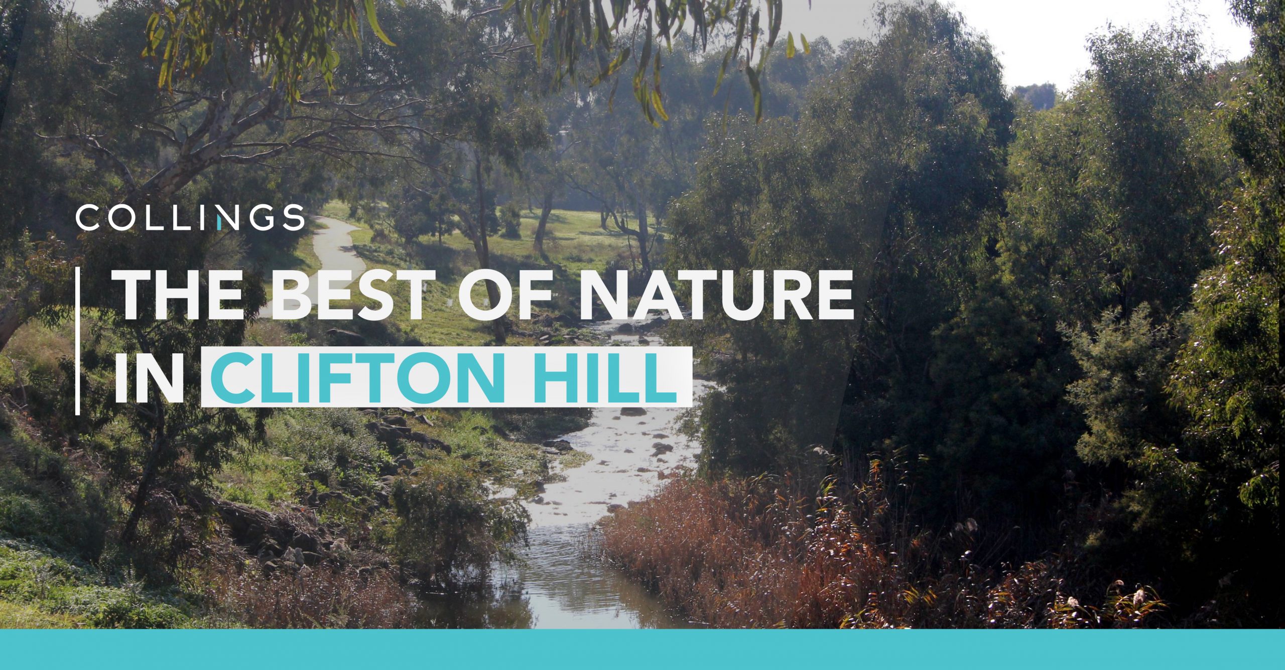 The best of nature in Clifton HIll