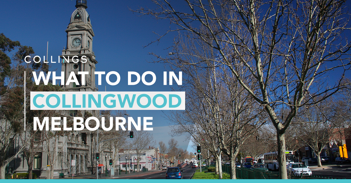 What to Do in Collingwood