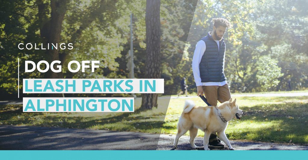 Dog Off Leash Parks in Alphington