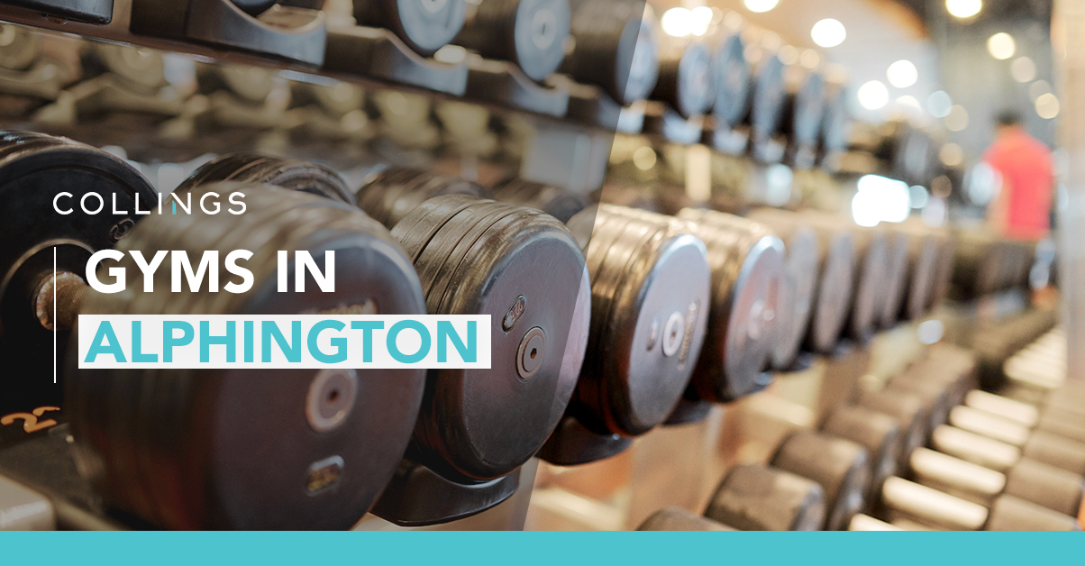 Gyms in Alphington, VIC