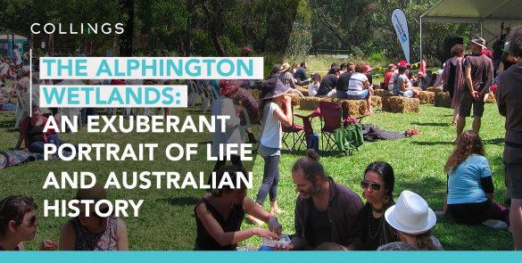 Alphington Wetlands